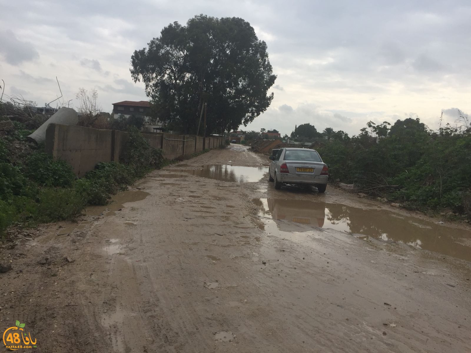 mo3anahr3h3u (5).jpg